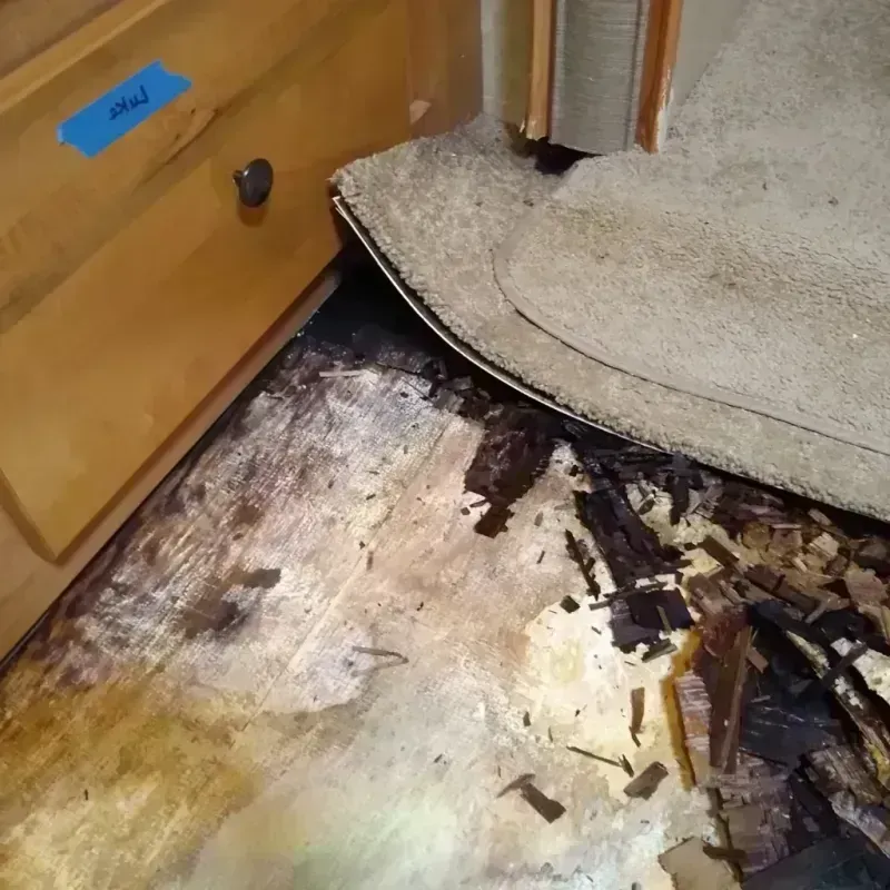 Wood Floor Water Damage in Granville South, OH